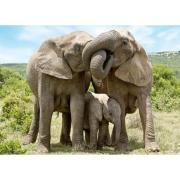 Puzzle Dino Familia de Elefantes de 1000 Piezas