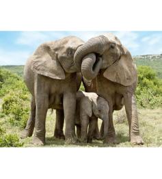 Puzzle Dino Familia de Elefantes de 1000 Piezas