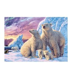 Puzzle Dino Osos Polares de 1000 Piezas