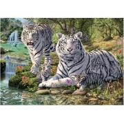 Puzzle Dino Tigres Albinos de 1000 Piezas