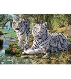 Puzzle Dino Tigres Albinos de 1000 Piezas