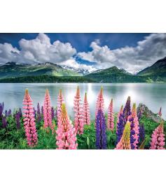 Puzzle Educa Altramuces a Orillas del Lago Sils, Suiza 1500 Pzas