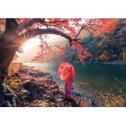 Puzzle Educa Amanecer en el Rio Katsura , Japón 1000 Piezas