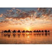 Puzzle Educa Atardecer Dorado en Cable Beach, Australia 1000 Pi