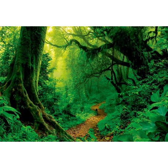 Puzzle Educa Bosque Encantado de 1000 Piezas