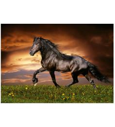 Puzzle Educa Caballo al Trote de 1000 Piezas