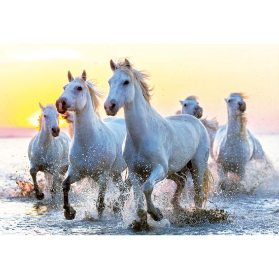 Puzzle Educa Caballos Blancos al Atardecer de 1000 Piezas Puzzle Educa Caballos Blancos al Atardecer de 1000 Piezas