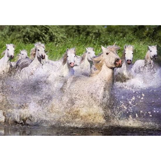 Puzzle Educa Caballos Blancos de la Camarga de 1000 Piezas Puzzle Educa Caballos Blancos de la Camarga de 1000 Piezas