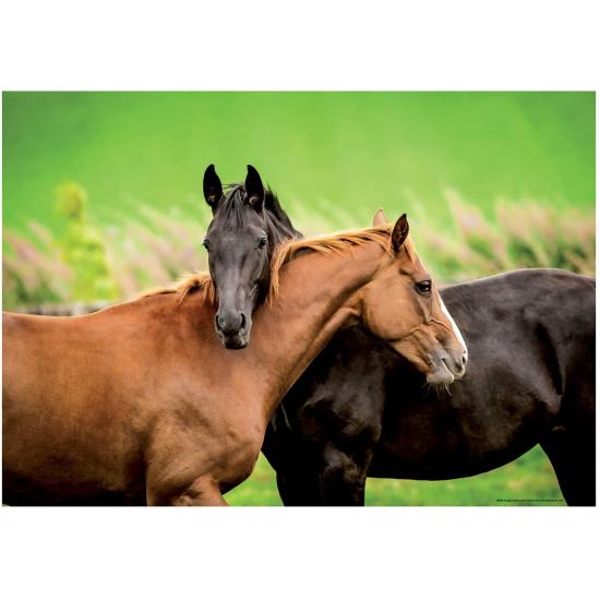 Puzzle Educa Caballos de 200 Piezas