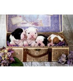 Puzzle Educa Cachorros de 500 Piezas