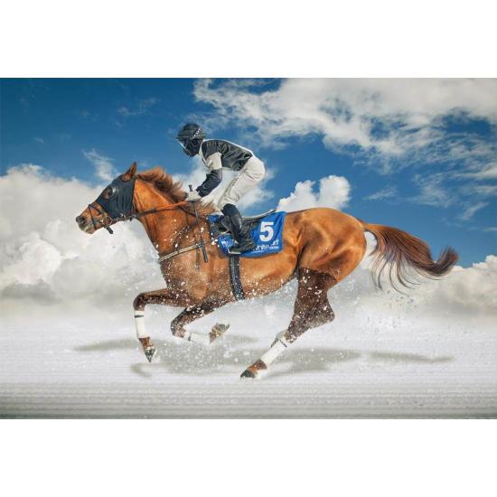 Puzzle Educa Carreras de Caballos en la Nieve de 1500 Piezas