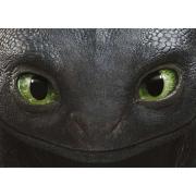 Puzzle Educa Cómo Entrenar a tu Dragón de 500 Piezas
