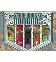 Puzzle Educa Cómo Entrenar a tu Dragon de 300 Piezas