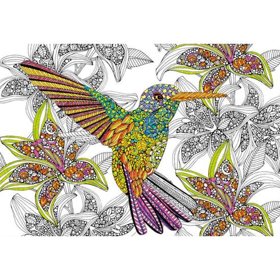 Puzzle Educa Colibrí coloréame de 300 Piezas