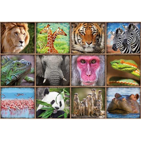 Puzzle Educa Collage de Animales Salvajes de 1000 Piezas