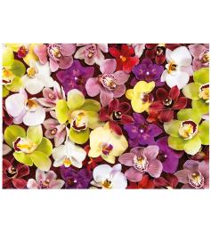 Puzzle Educa Collage de Orquídeas de 1000 Piezas