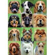 Puzzle Educa Collage de Perros de 500 Piezas