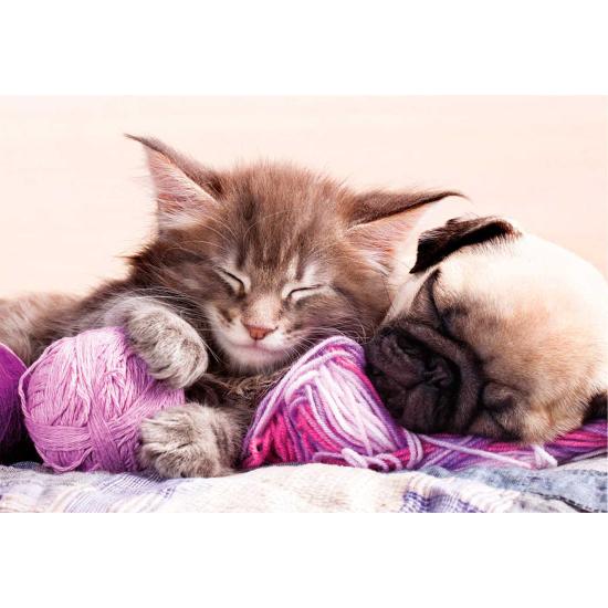 Puzzle Educa Compañeros de Sueños de 500 Piezas Puzzle Educa Compañeros de Sueños de 500 Piezas