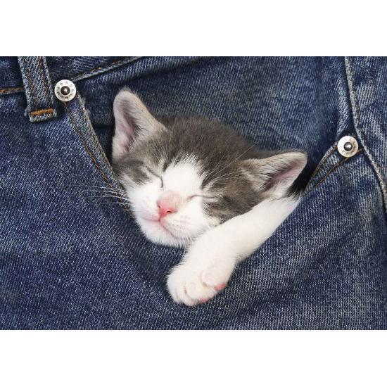 Puzzle Educa Dulces Sueños de 500 Piezas