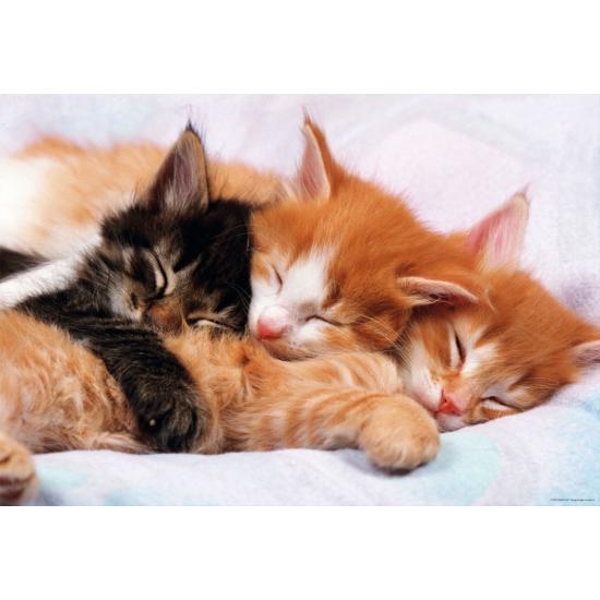 Puzzle Educa Gatitos de 500 Piezas