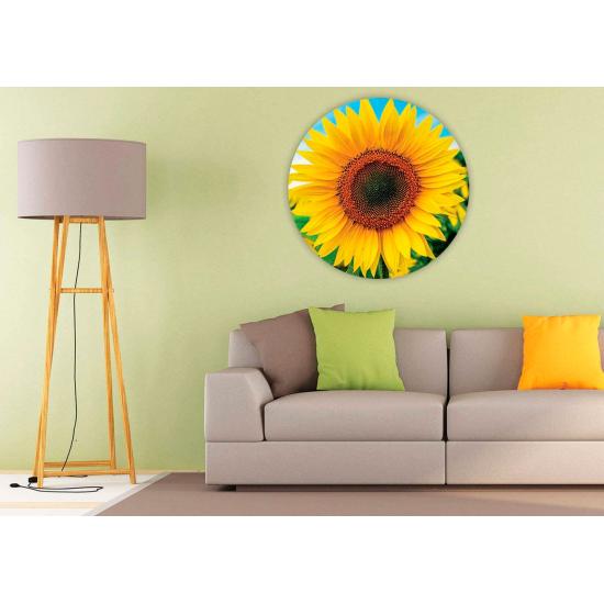 Puzzle Educa Redondo Girasol de 800 Piezas Puzzle Educa Redondo Girasol de 800 Piezas