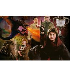 Puzzle Educa Harry Potter Caliz de Fuego (P Miniatura) de 1000P