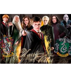 Puzzle Educa Harry Potter de 1000 Piezas