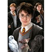 Puzzle Educa Harry Potter (Piezas Miniatura) de 1000 Piezas