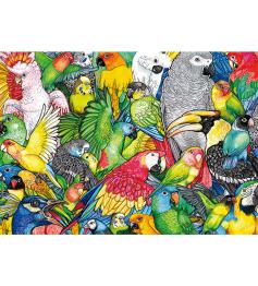 Puzzle Educa Loros de 500 Piezas