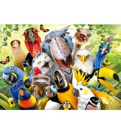 Puzzle Educa Mira al Pajarito de 500 Piezas
