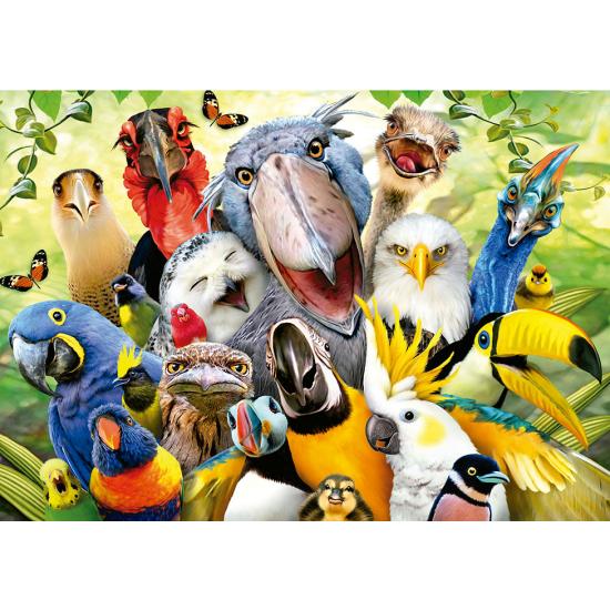 Puzzle Educa Mira al Pajarito de 500 Piezas Puzzle Educa Mira al Pajarito de 500 Piezas