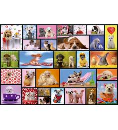 Puzzle Educa Momentos Compartidos de 1000 Piezas