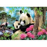 Puzzle Educa Osos Pandas de 1000 Piezas