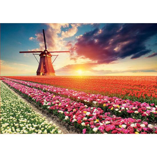 Puzzle Educa Paisaje de Tulipanes de 1500 Piezas Puzzle Educa Paisaje de Tulipanes de 1500 Piezas