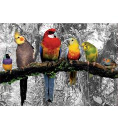 Puzzle Educa Pájaros en la Jungla de 500 Piezas
