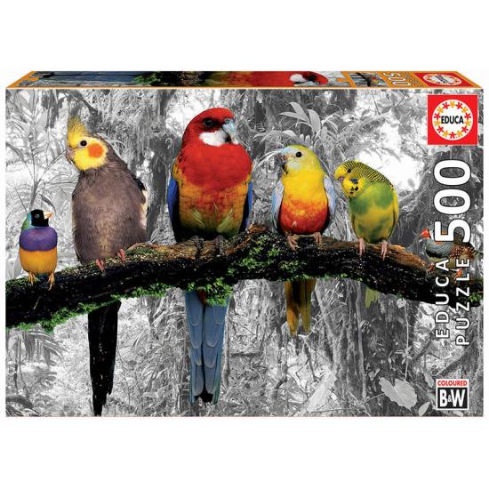 Puzzle Educa Pájaros en la Jungla de 500 Piezas