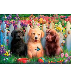 Puzzle Educa Perritos de 100 Piezas