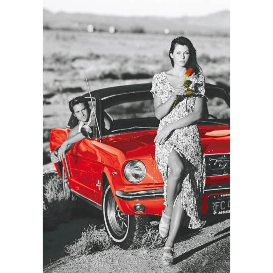 Puzzle Educa Romance en el Campo de 1000 Piezas