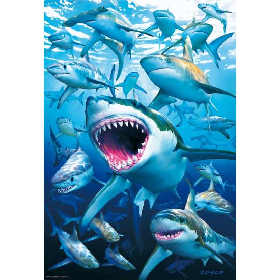 Puzzle Educa Tiburones de 500 Piezas Puzzle Educa Tiburones de 500 Piezas