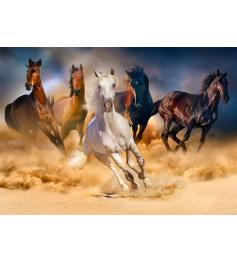 Puzzle Enjoy Caballos Corriendo en el Desierto de 1000 Piezas