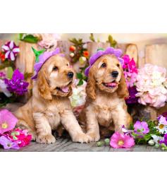 Puzzle Enjoy Cachorros Spaniel con Sombreros Floridos de 1000 Pz