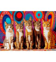 Puzzle Enjoy Cinco Gatos de 1000 Piezas