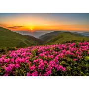 Puzzle Enjoy Crepúsculo Rosa de 1000 Piezas