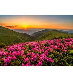 Puzzle Enjoy Crepúsculo Rosa de 1000 Piezas