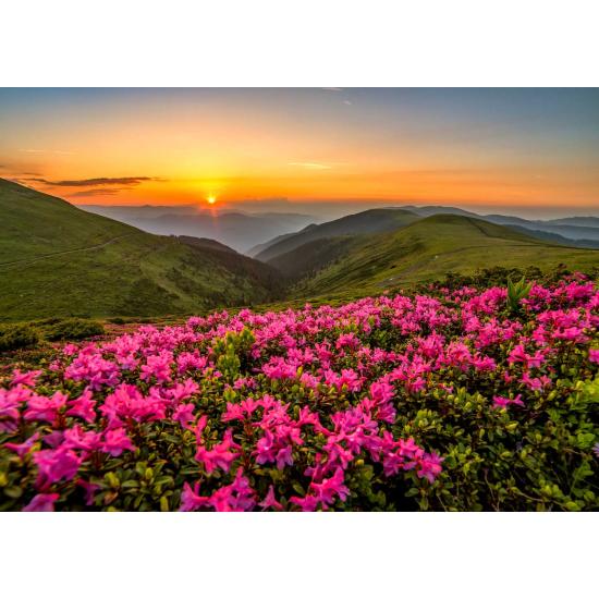 Puzzle Enjoy Crepúsculo Rosa de 1000 Piezas Puzzle Enjoy Crepúsculo Rosa de 1000 Piezas