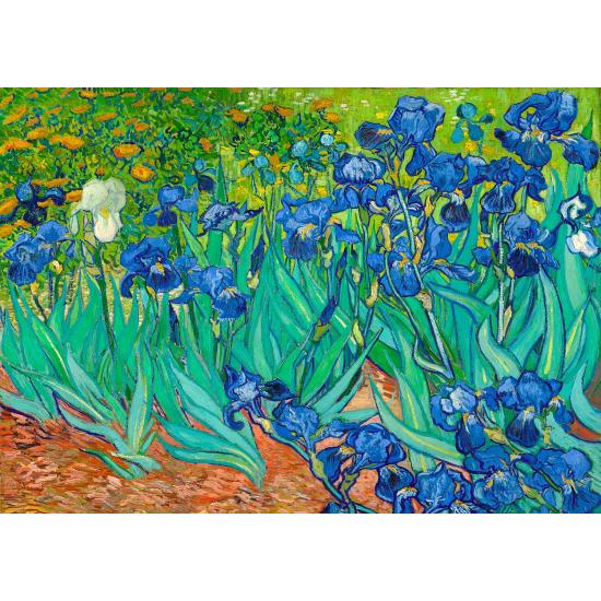 Puzzle Enjoy Iris de 1000 Piezas