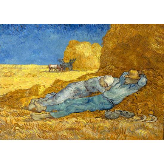 Puzzle Enjoy La Siesta de 1000 Piezas