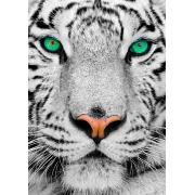 Puzzle Enjoy Tigre Blanco Siberiano de 1000 Piezas