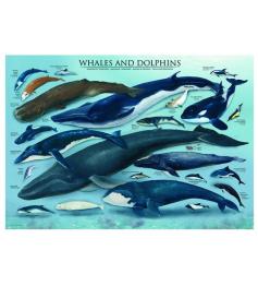 Puzzle Eurographics Ballenas y Delfines de 1000 Piezas
