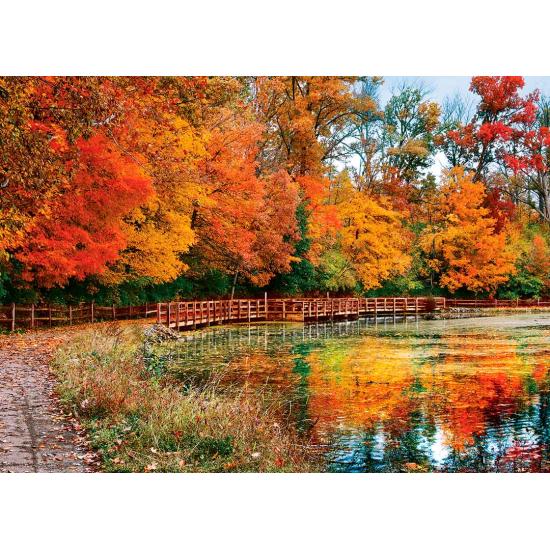 Puzzle Eurographics Bosque de Sharon, Ohio de 1000 Piezas Puzzle Eurographics Bosque de Sharon, Ohio de 1000 Piezas